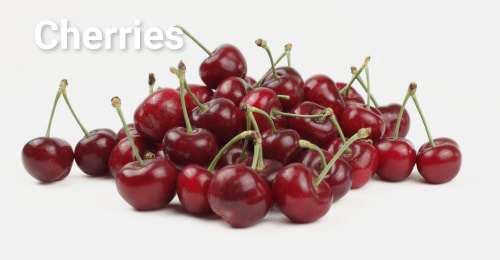 Cherries Handful of Family Tree Farms cherries on white background