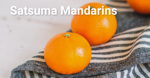 Satsuma Mandarins Family Tree Farms satsuma mandarins on kitchen counter