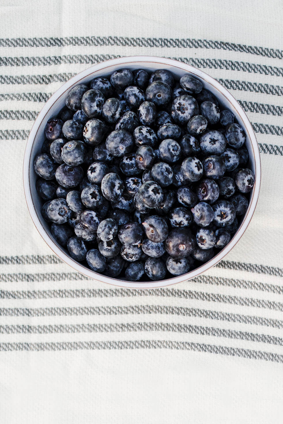Jumbo Blueberries (16 oz.)