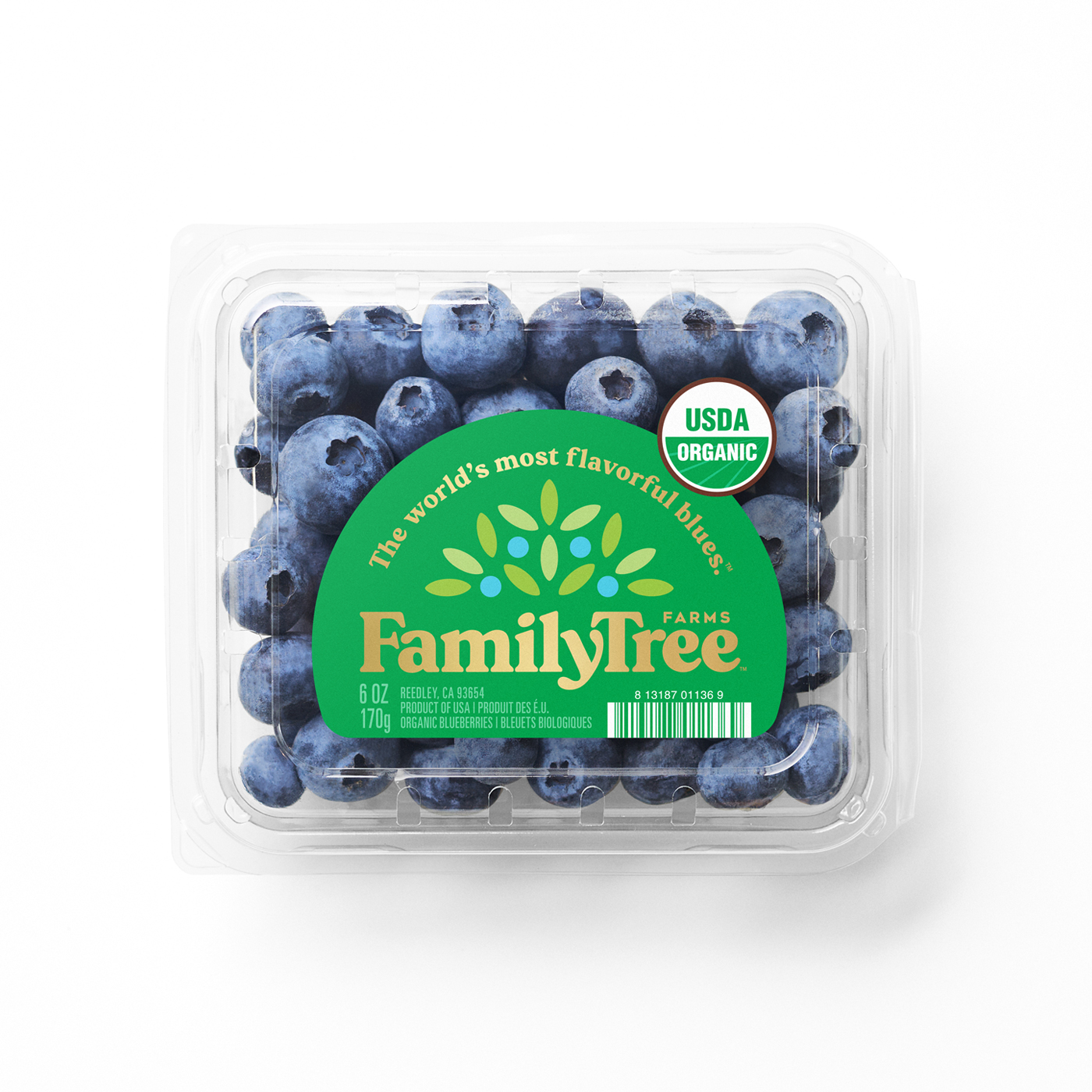 Get Jumbo Blueberries Delivered