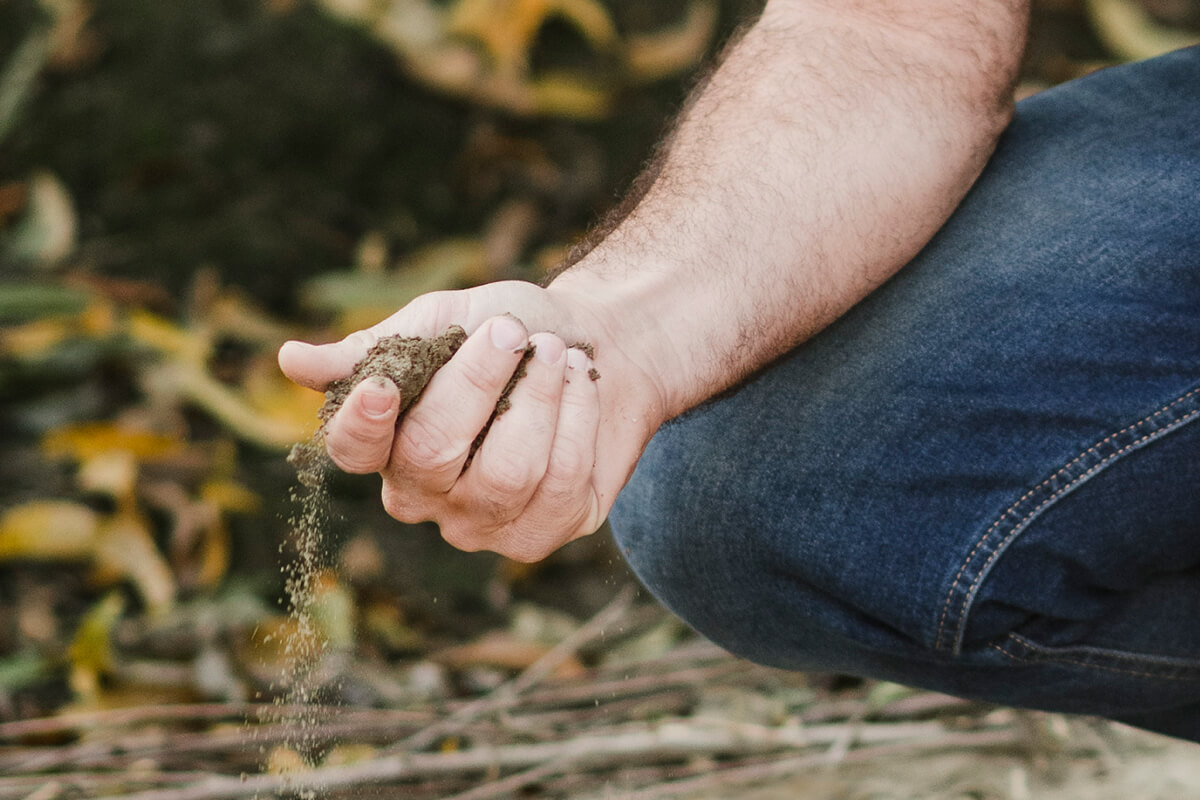 Image of hand holding soil